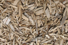 biomass boilers Upend